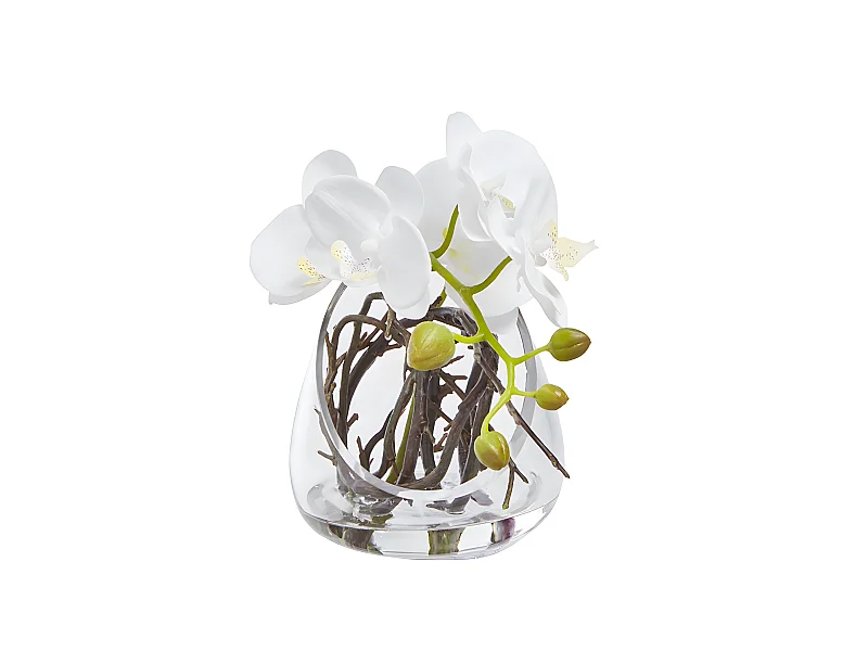 Orchidées sur lit de branchages H19