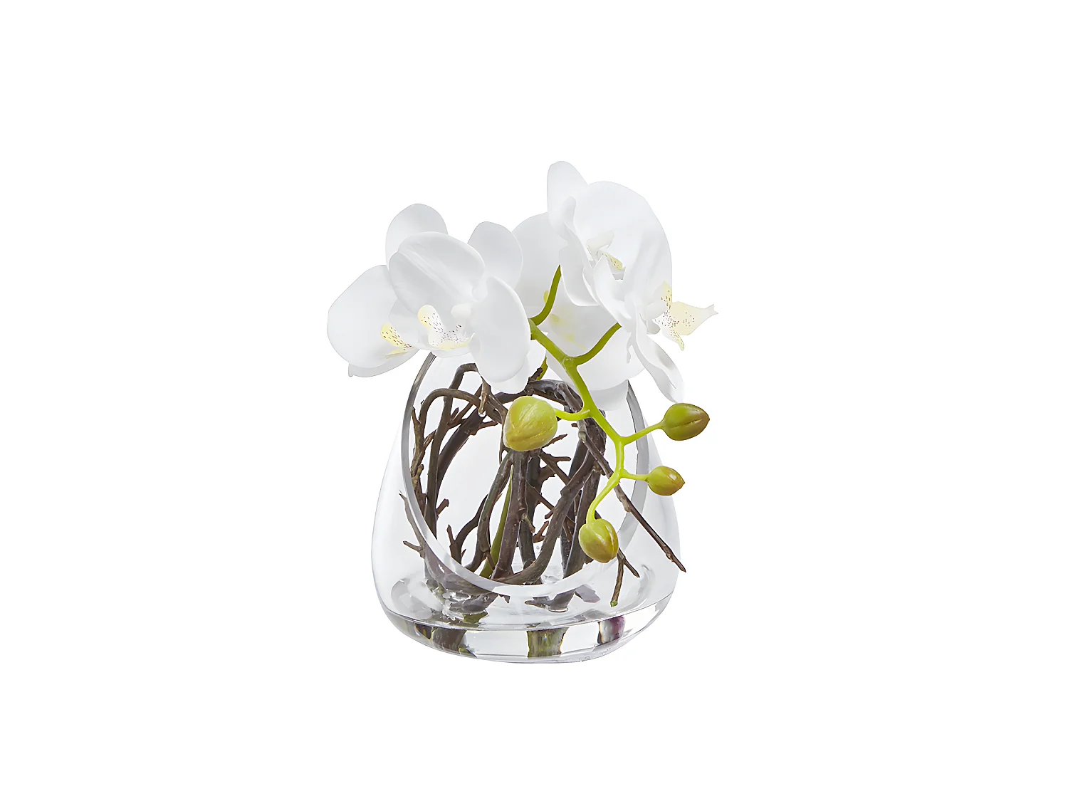 Orchidées sur lit de branchages H19
