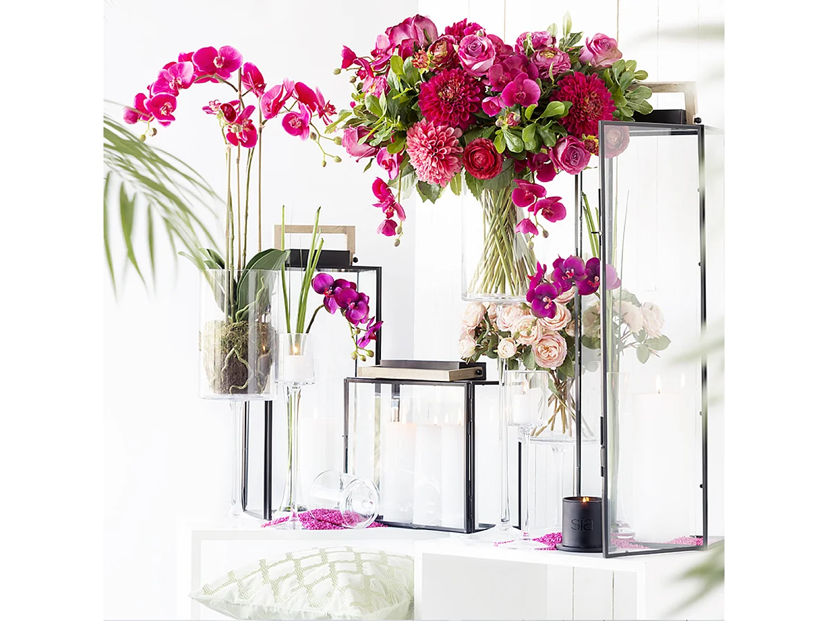 Tige d'Orchidée Phalaenopsis Forever - Rouge