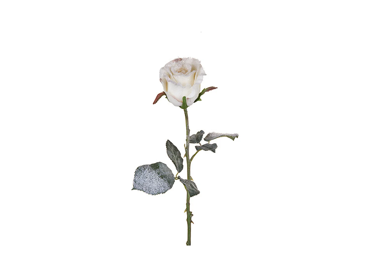 Tige de Rose Enneigée