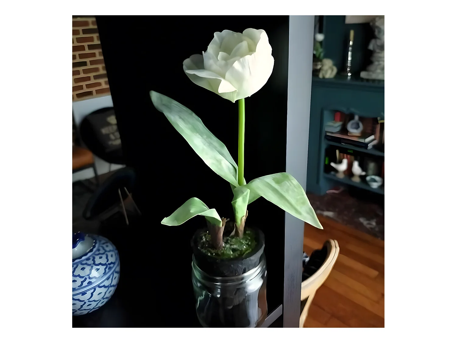 Tulipe Givrée en Pot Noël - Blanc