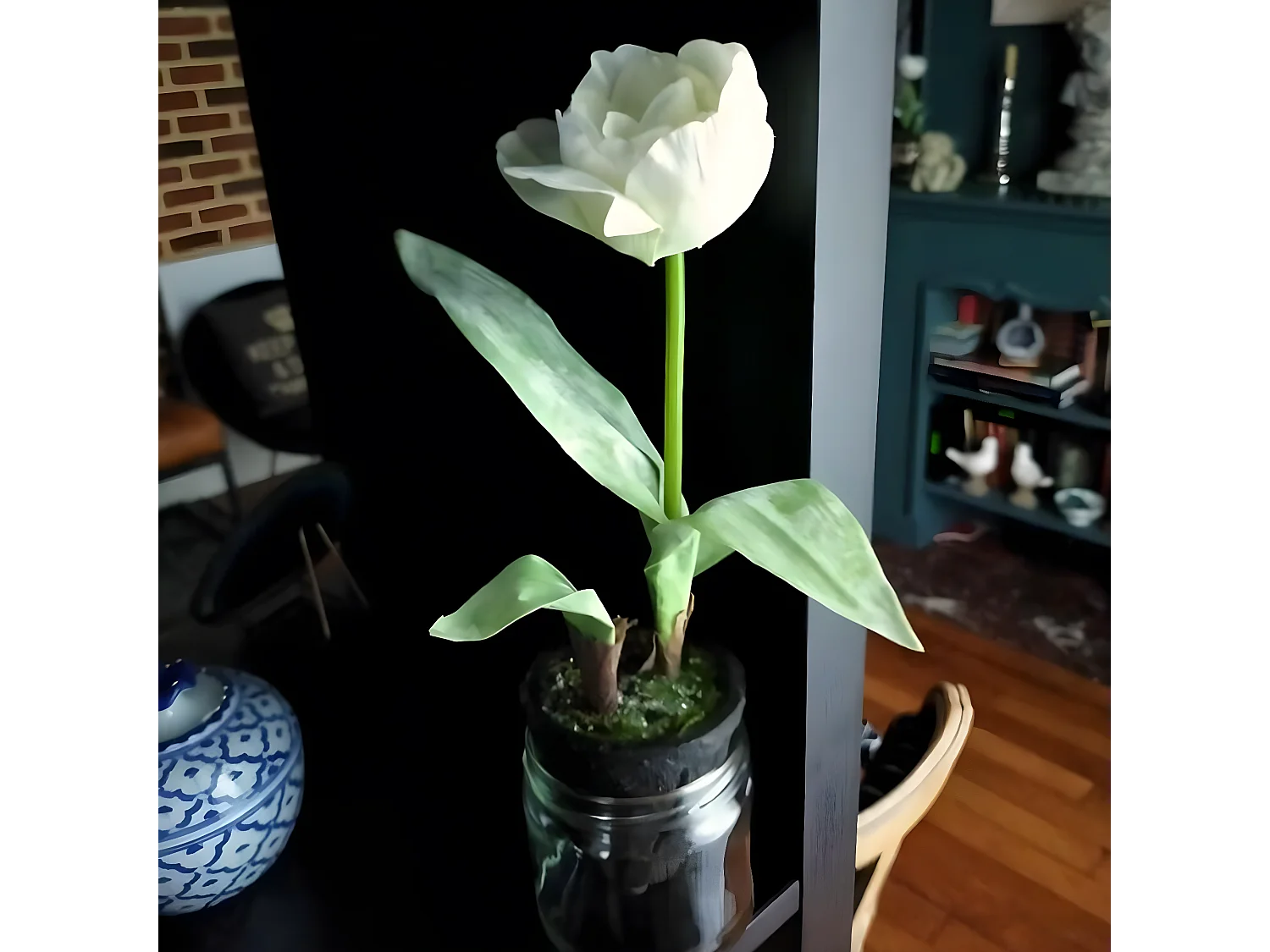 Tulipe Givrée en Pot Noël - Blanc