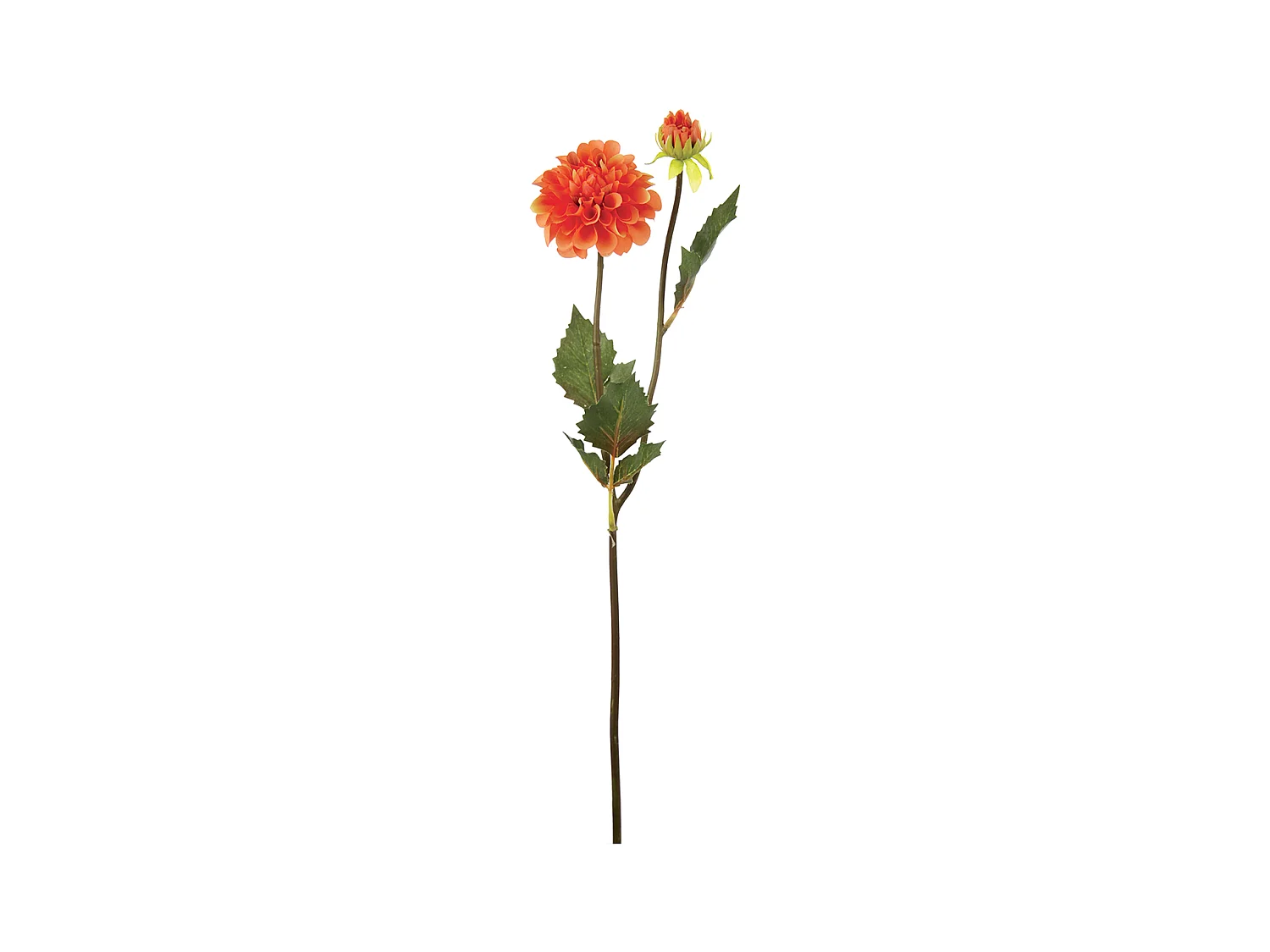 Tige de Dahlia Andreas - Rose / 50 cm