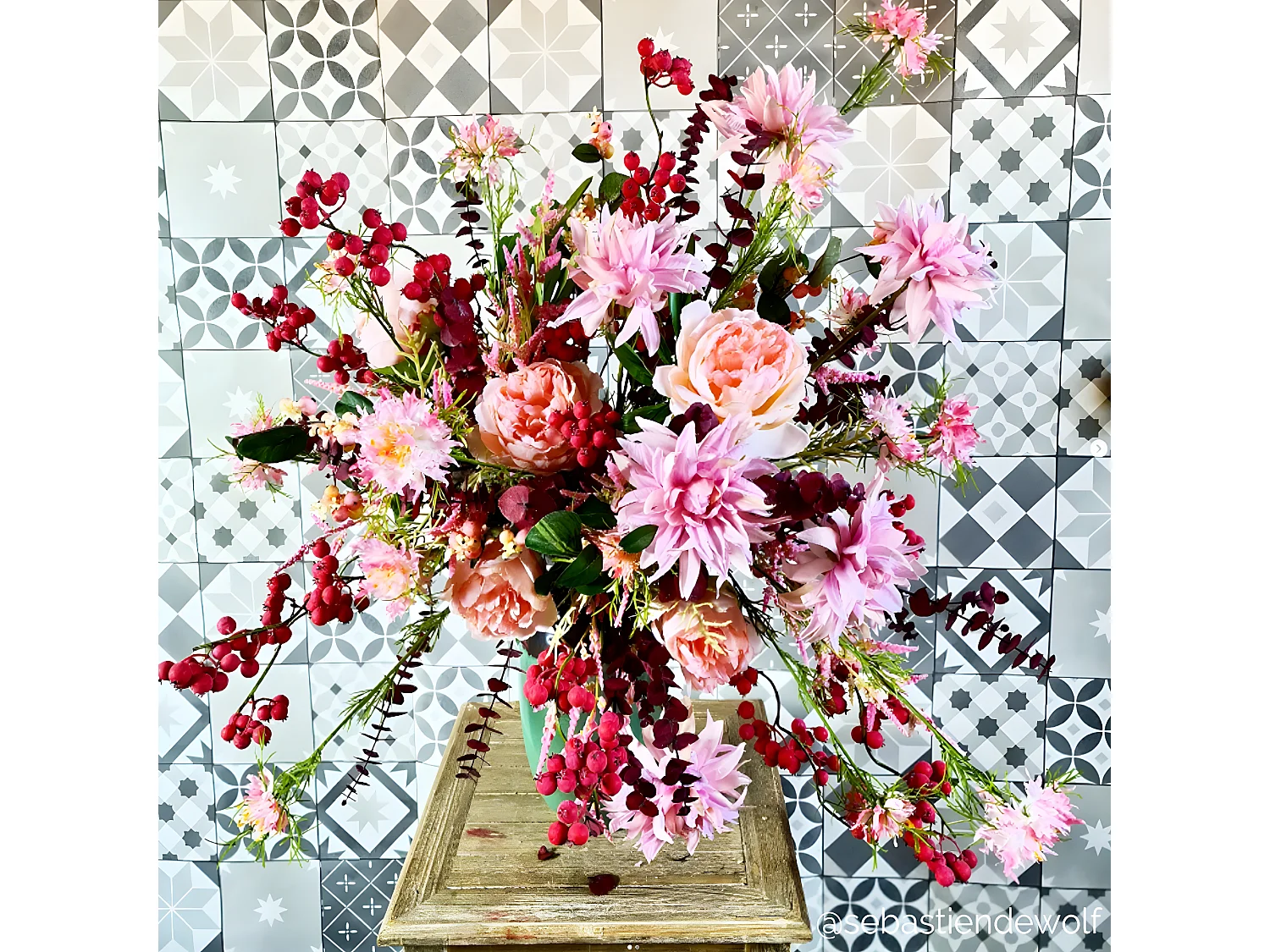 Tige de Dahlia Monica - Rouge