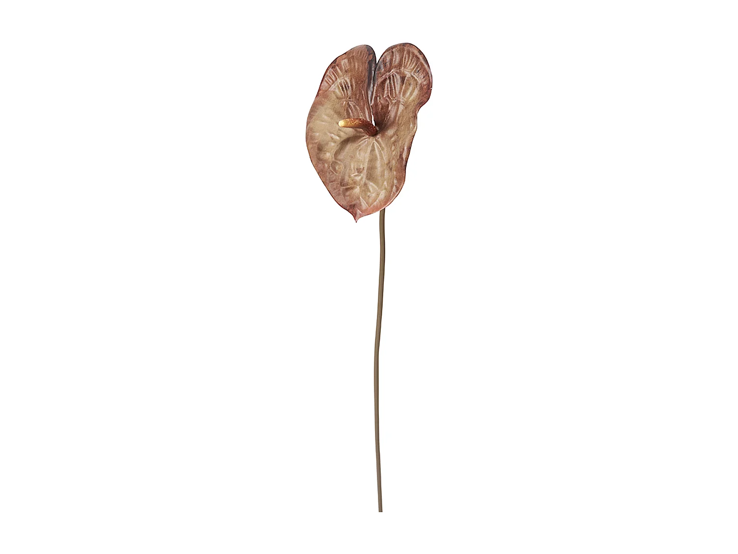 Tige d'Anthurium Ombré - Gris