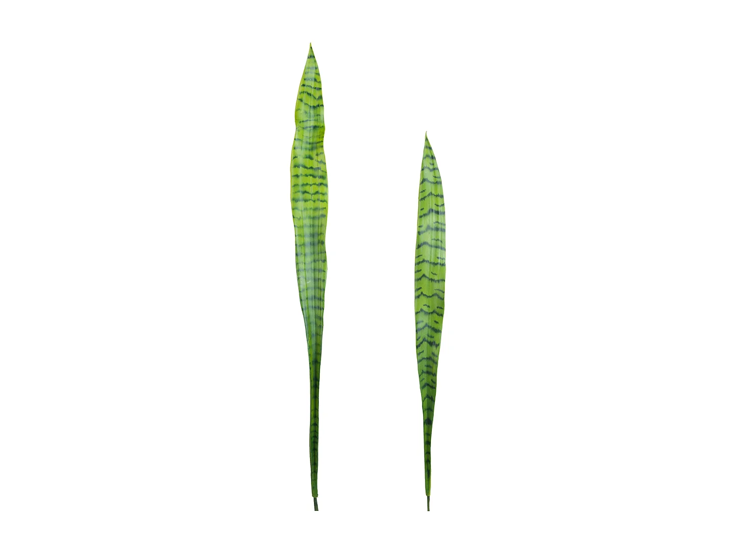 Feuilles de Sansevieria - Jaune / 91 cm