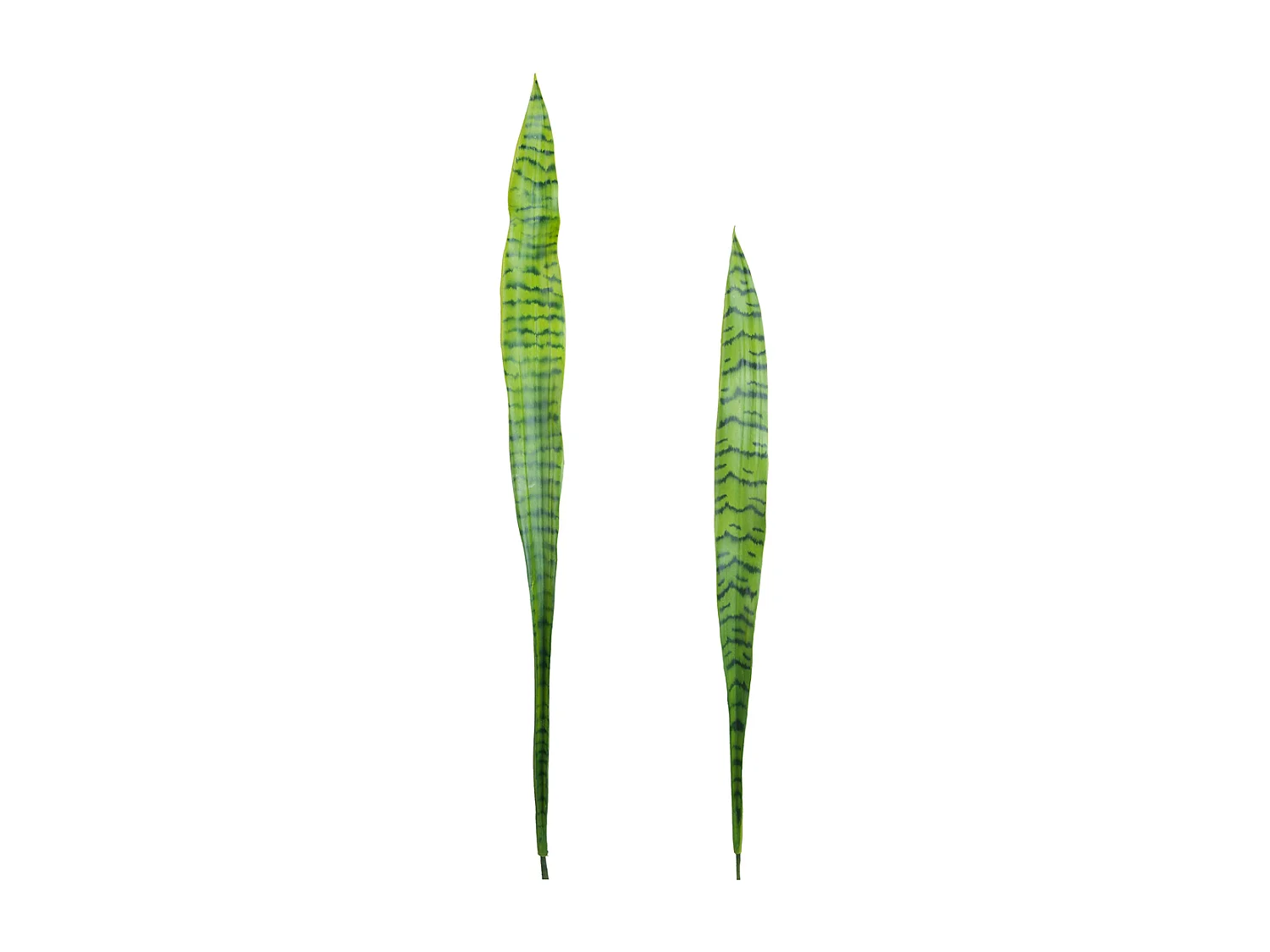 Feuilles de Sansevieria - Jaune / 91 cm