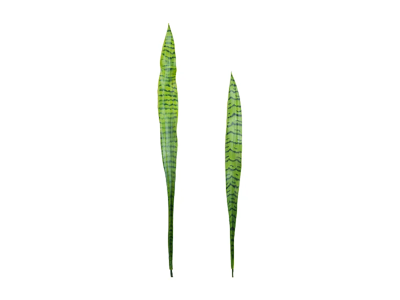 Feuilles de Sansevieria - Jaune / 91 cm