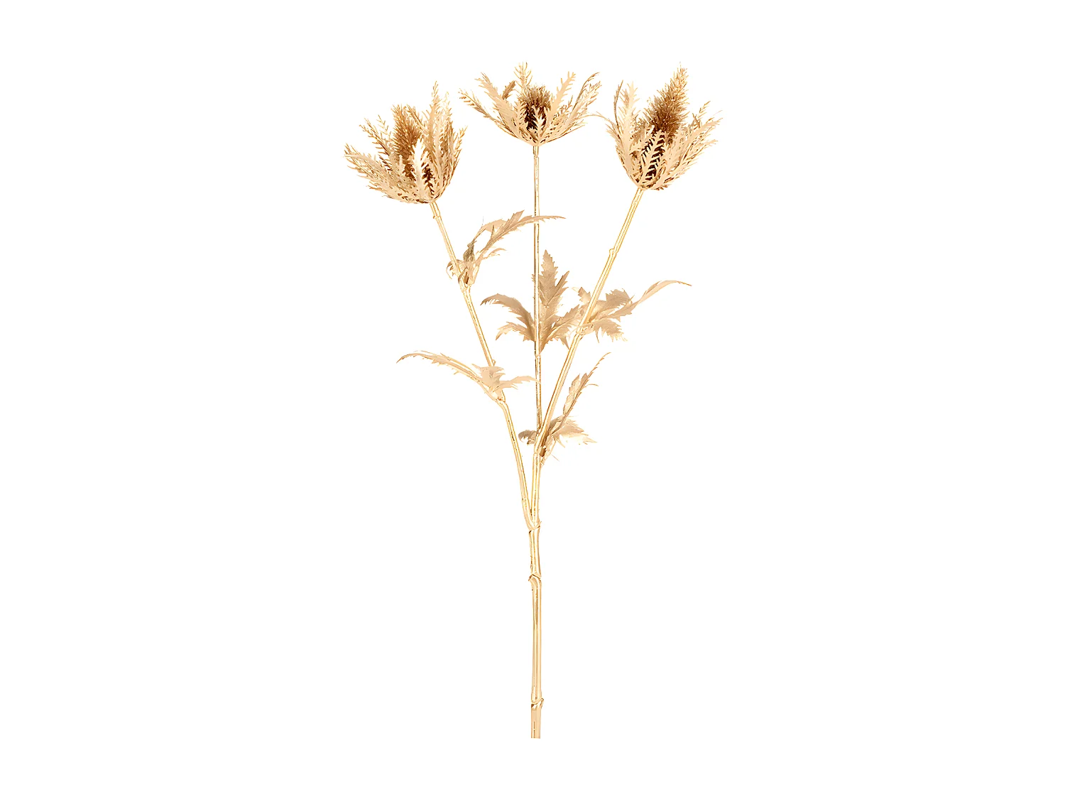 Tige de Chardon Doré Petit Format - Doré / 56 cm