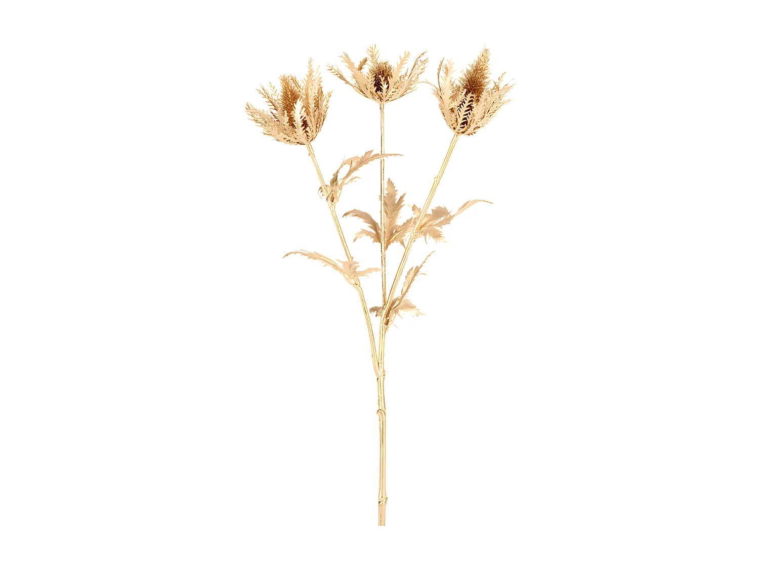 Tige de Chardon Doré Petit Format - Doré / 56 cm