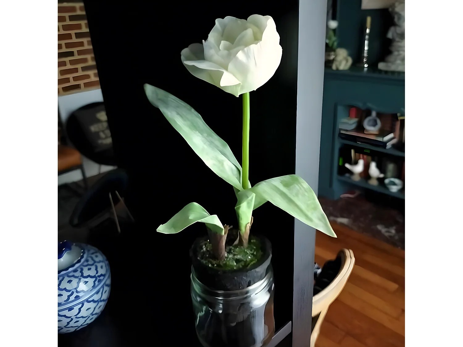 Tulipe Givrée en Pot Noël - Rouge