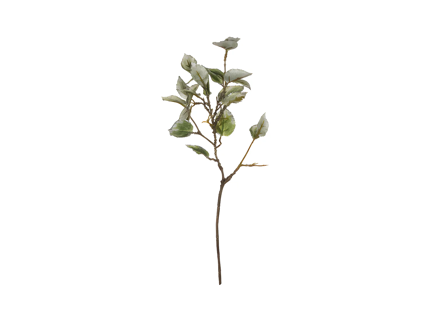 Feuillage Laurier Pailleté