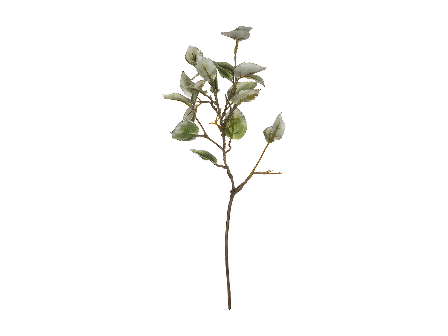 Feuillage Laurier Pailleté