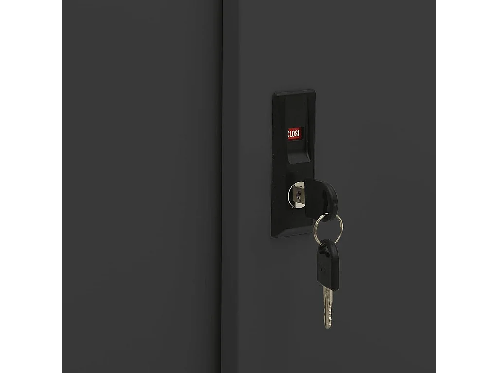 Armoire à portes coulissantes avec jardinière Anthracite Acier