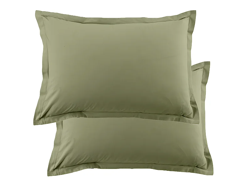Lot de 2 taies d'oreiller 50x70 cm rectangle 100% Coton 57 fils Verveine