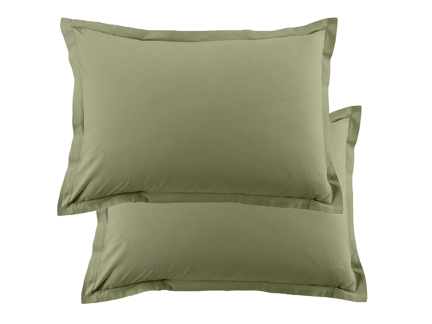 Lot de 2 taies d'oreiller 50x70 cm rectangle 100% Coton 57 fils Verveine