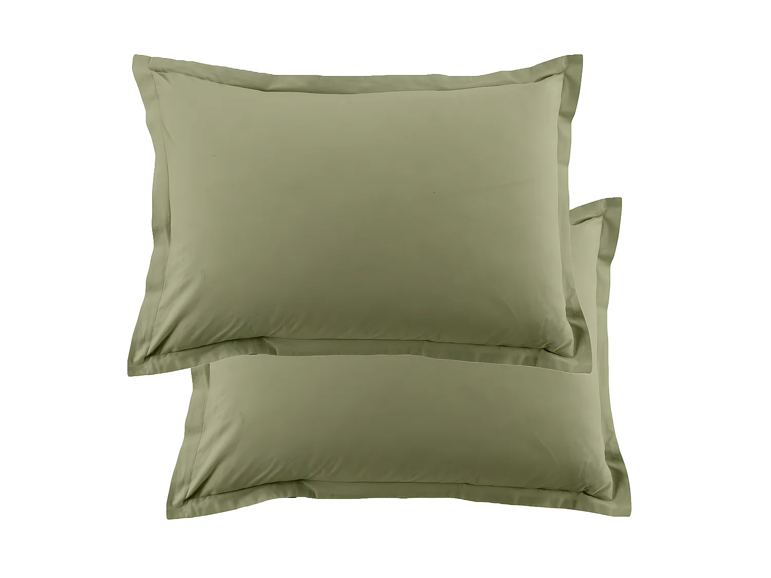 Lot de 2 taies d'oreiller 50x70 cm rectangle 100% Coton 57 fils Verveine