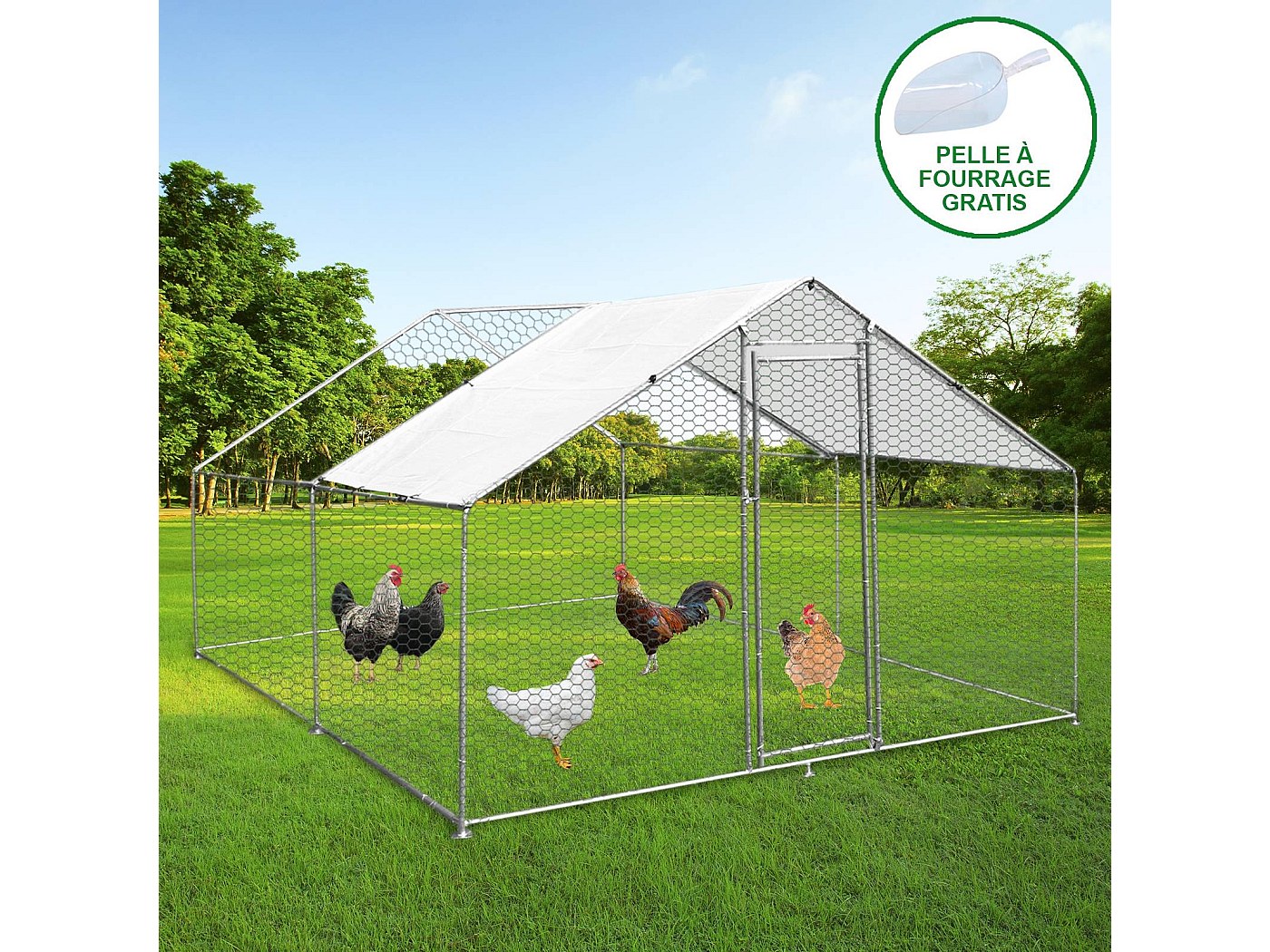 Mangime Polli Volatili Polloricco B&B Mignini 25 Kg