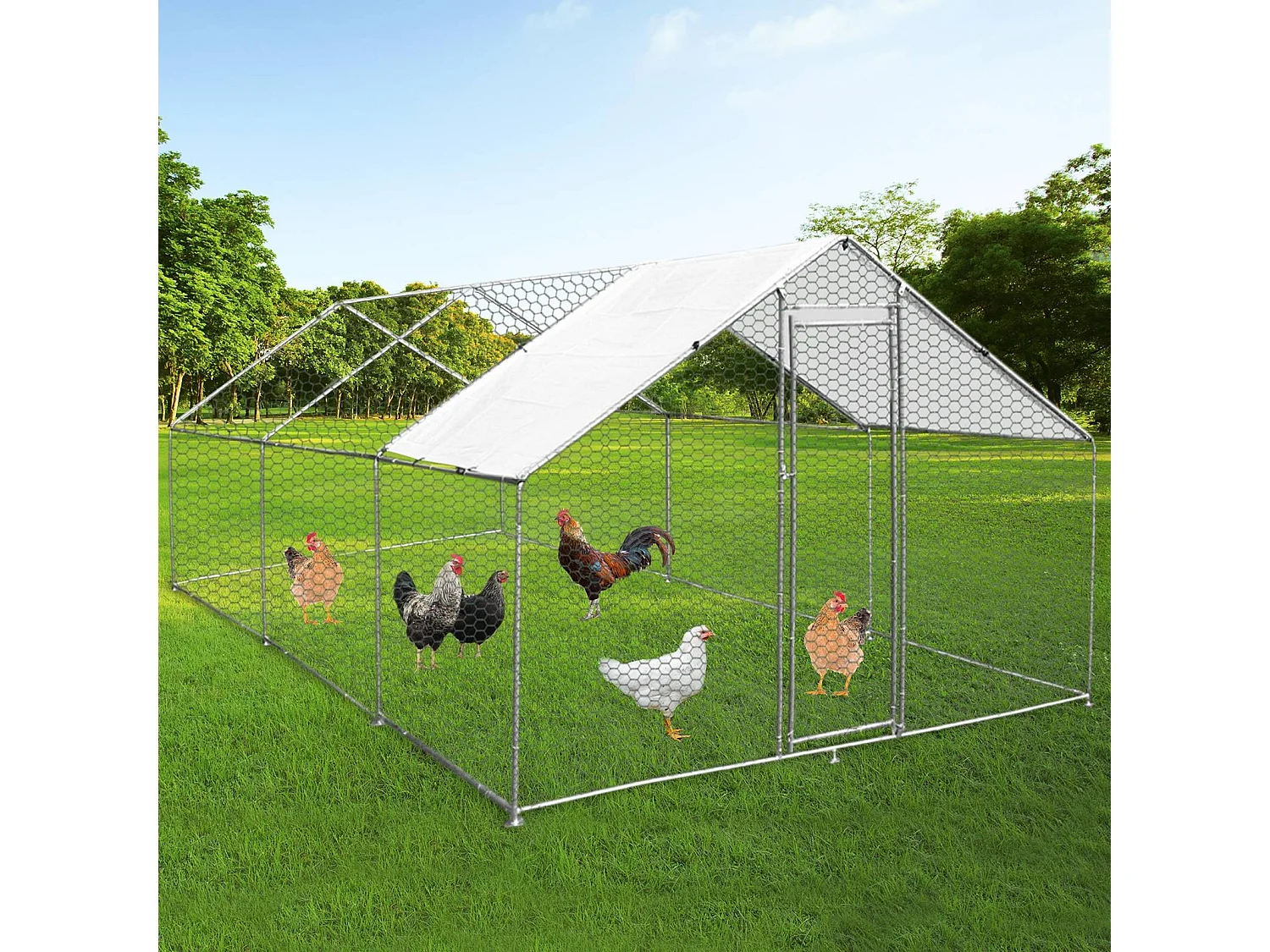 Enclos Poulailler 4m x 6m x 2m