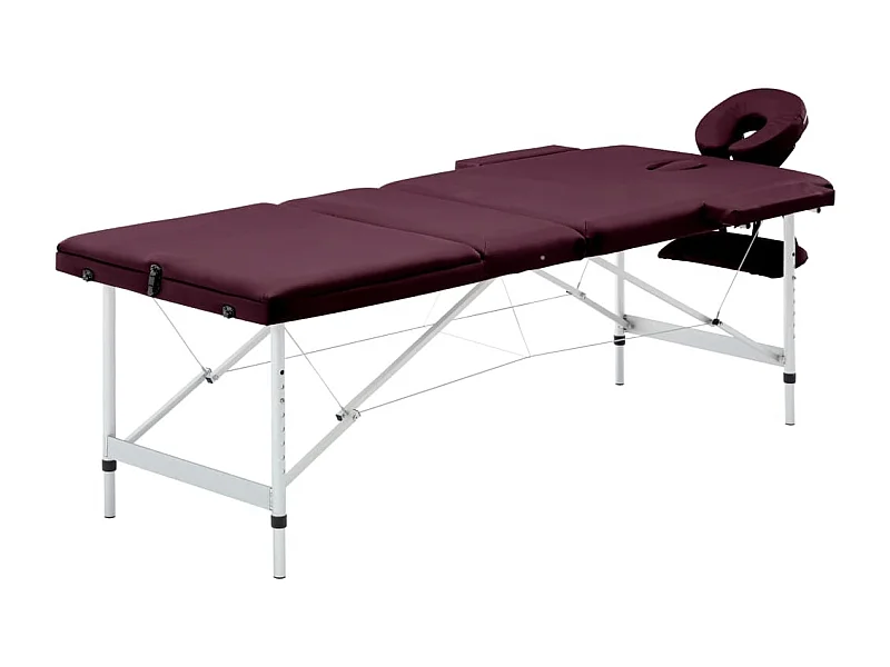 Lettino da massaggio pieghevole lettino da massaggio panca divano terapia cosmetico portatile professionale Shiatsu Reiki 3 zone alluminio viola 02_0001829