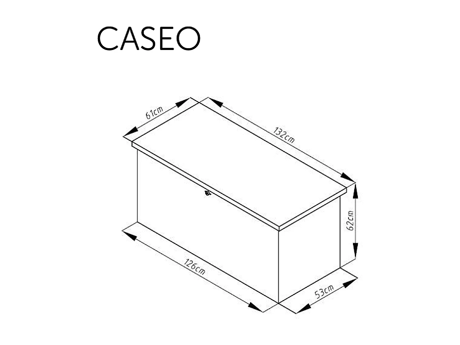 Coffre de rangement gris en acier CASEO