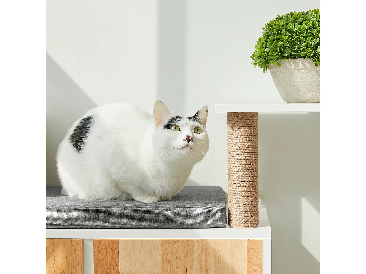 SoBuy FSR135-WN Kattenhuis, Katten Bench, Schoenenbank, Schoenenrek, Schoenenkast, Entree Lage Kast met Kussen