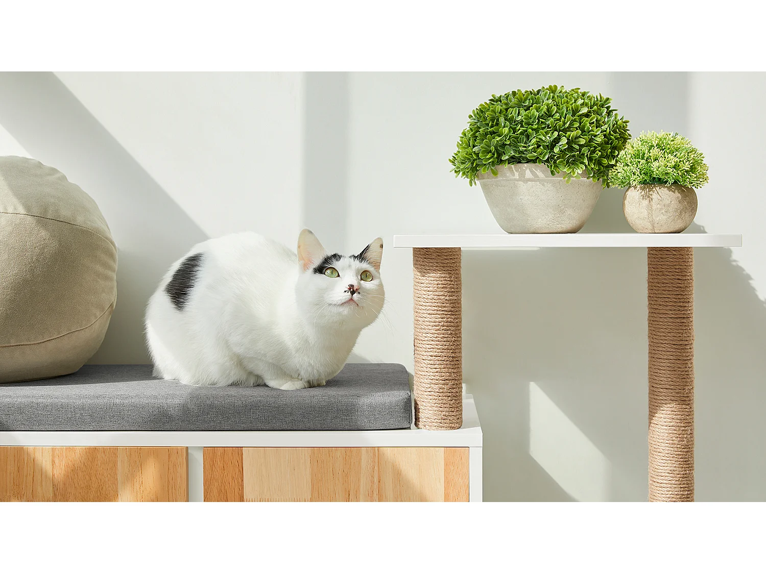 SoBuy FSR135-WN Kattenhuis, Katten Bench, Schoenenbank, Schoenenrek, Schoenenkast, Entree Lage Kast met Kussen