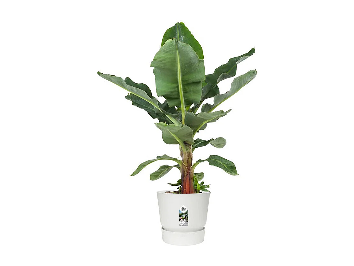 Blumentopf Rund Greenville 40 Weiß Außen Ø 39 x H 36,8 cm