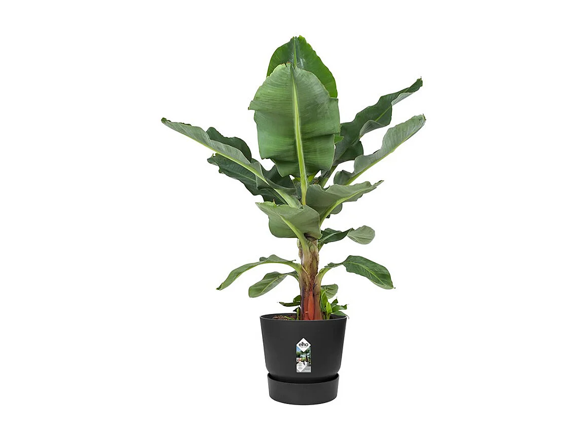 Maceta redonda 30 - Exterior Ø 29,5 x 27,8 cm - Living negro