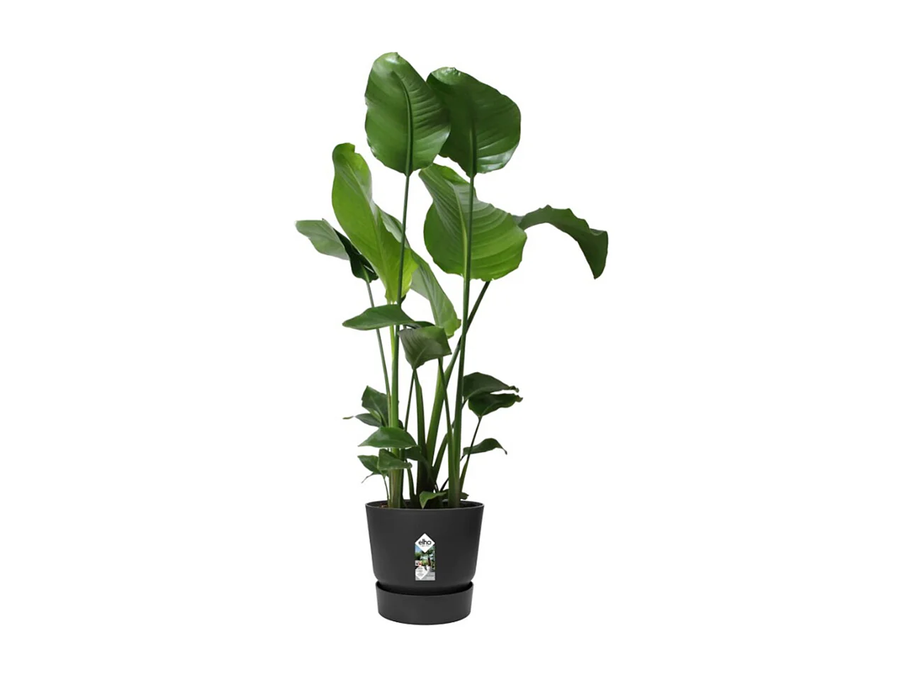 Ronde bloempot Greenville 30 - Buiten - Zwart - Ø 29,5 x H 27,8 cm