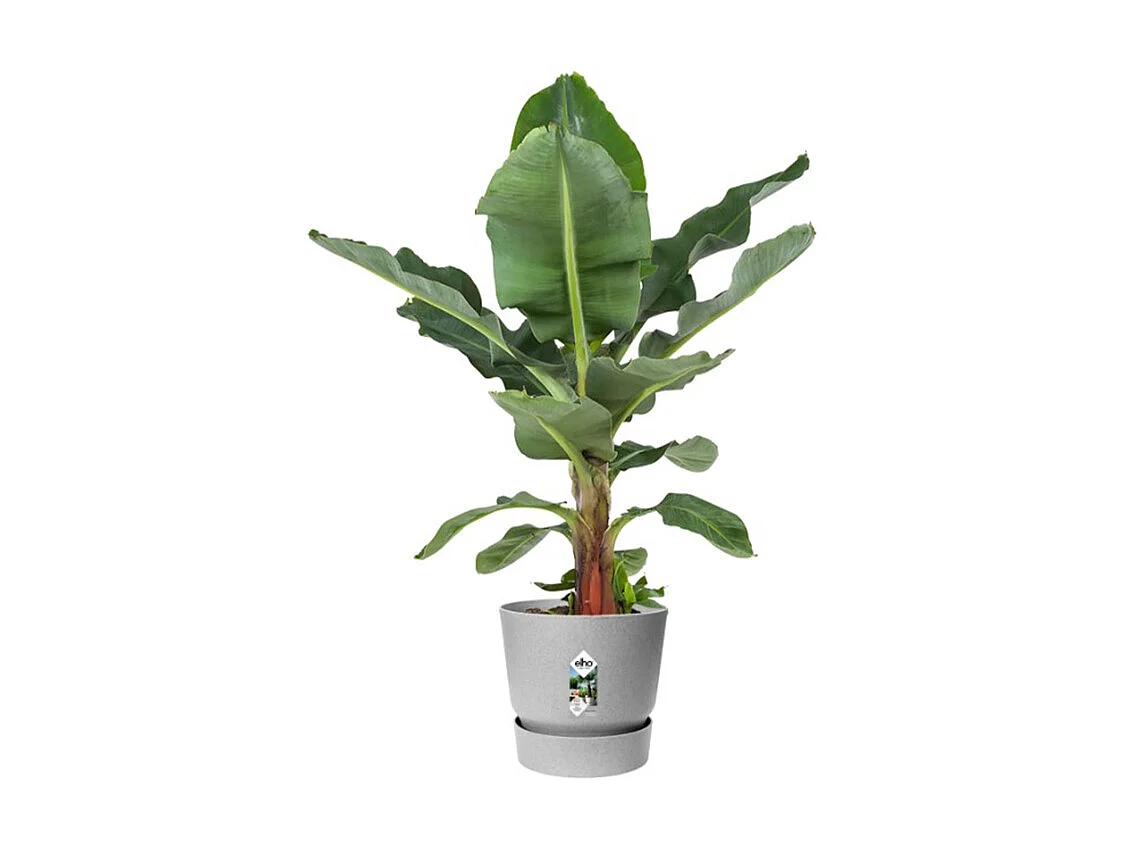 Ronde bloempot Greenville 30 - Buiten - Levend betongrijs - Gerecycled polypropyleen - 13 L