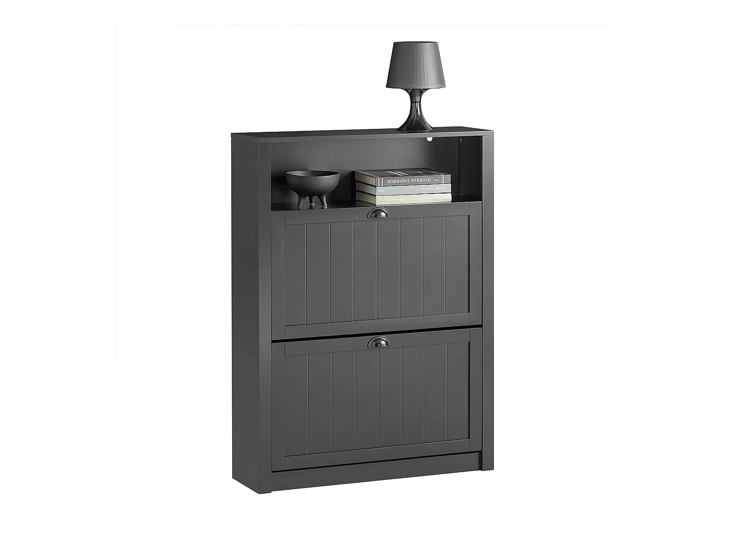 Meuble De Rangement À Chaussures Armoire À Chaussures 2 Abattants Noir, Fsr87-sch