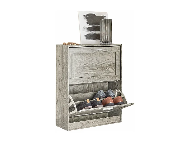 Armoire À Chaussures Avec 2 Abattants Pour Entrée Couloir, Effet Bois, Fsr137-hg