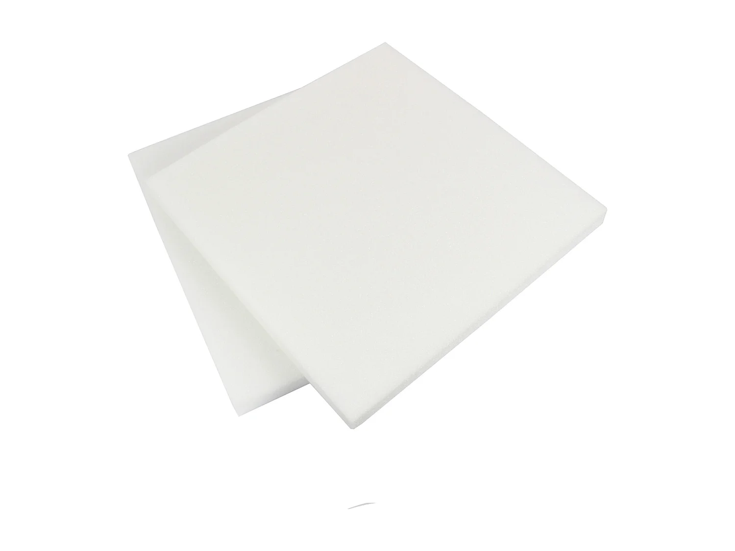 Lot de 2 Galettes de Chaise "Mousse" 40x40cm Blanc