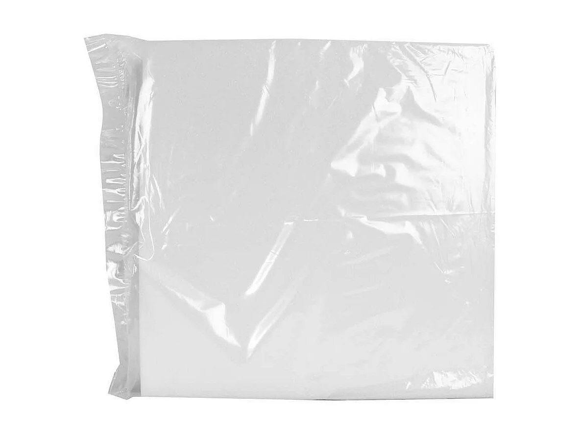 Lot de 2 Galettes de Chaise "Mousse" 40x40cm Blanc