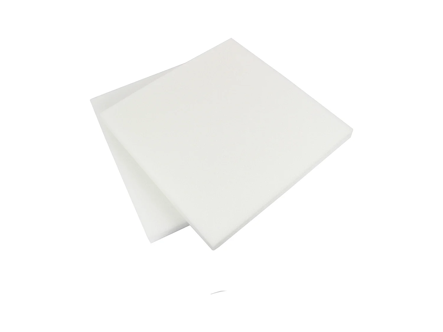 Lot de 2 Galettes de Chaise "Mousse" 40x40cm Blanc