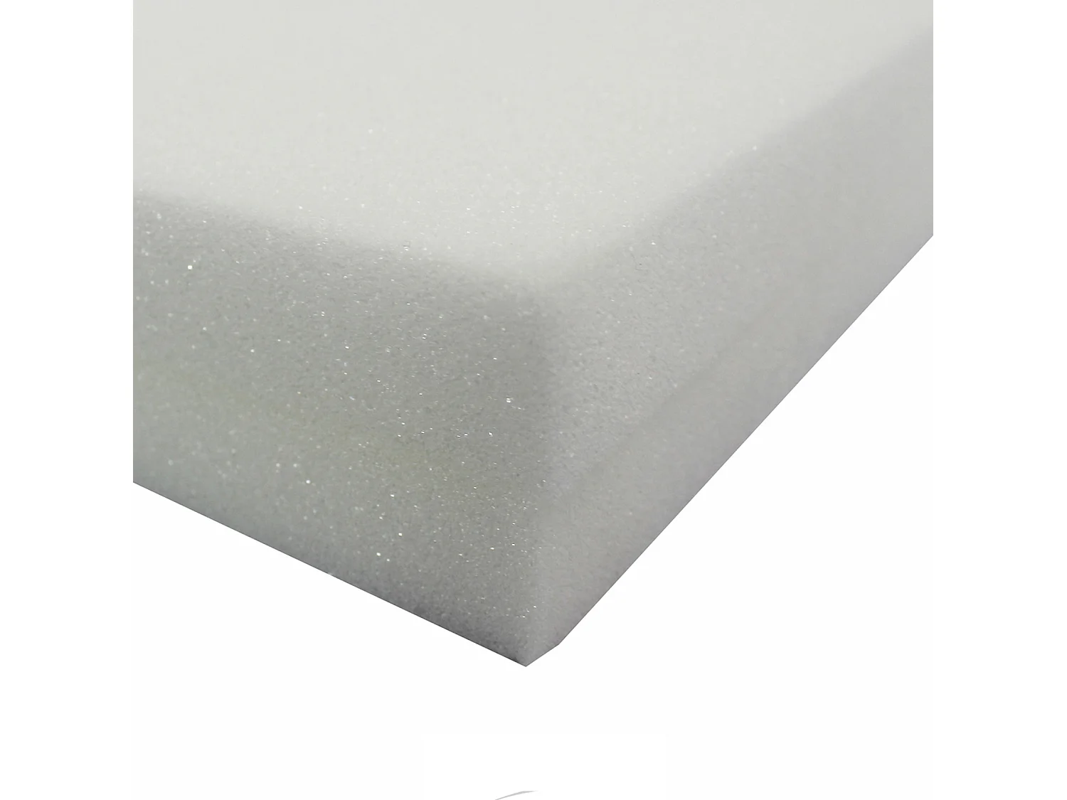 Lot de 2 Galettes de Chaise "Mousse" 40x40cm Blanc