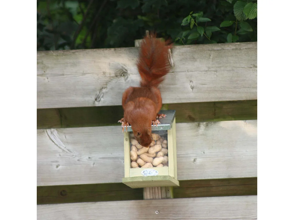 Mangiatoia per scoiattoli in legno e zinco