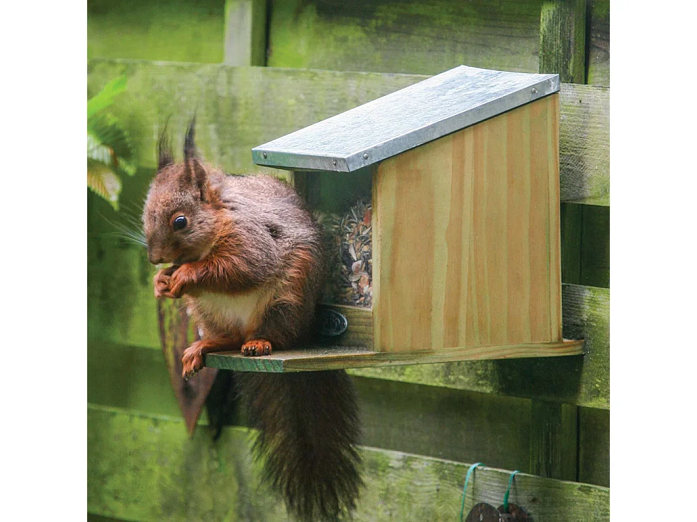 Mangiatoia per scoiattoli in legno e zinco