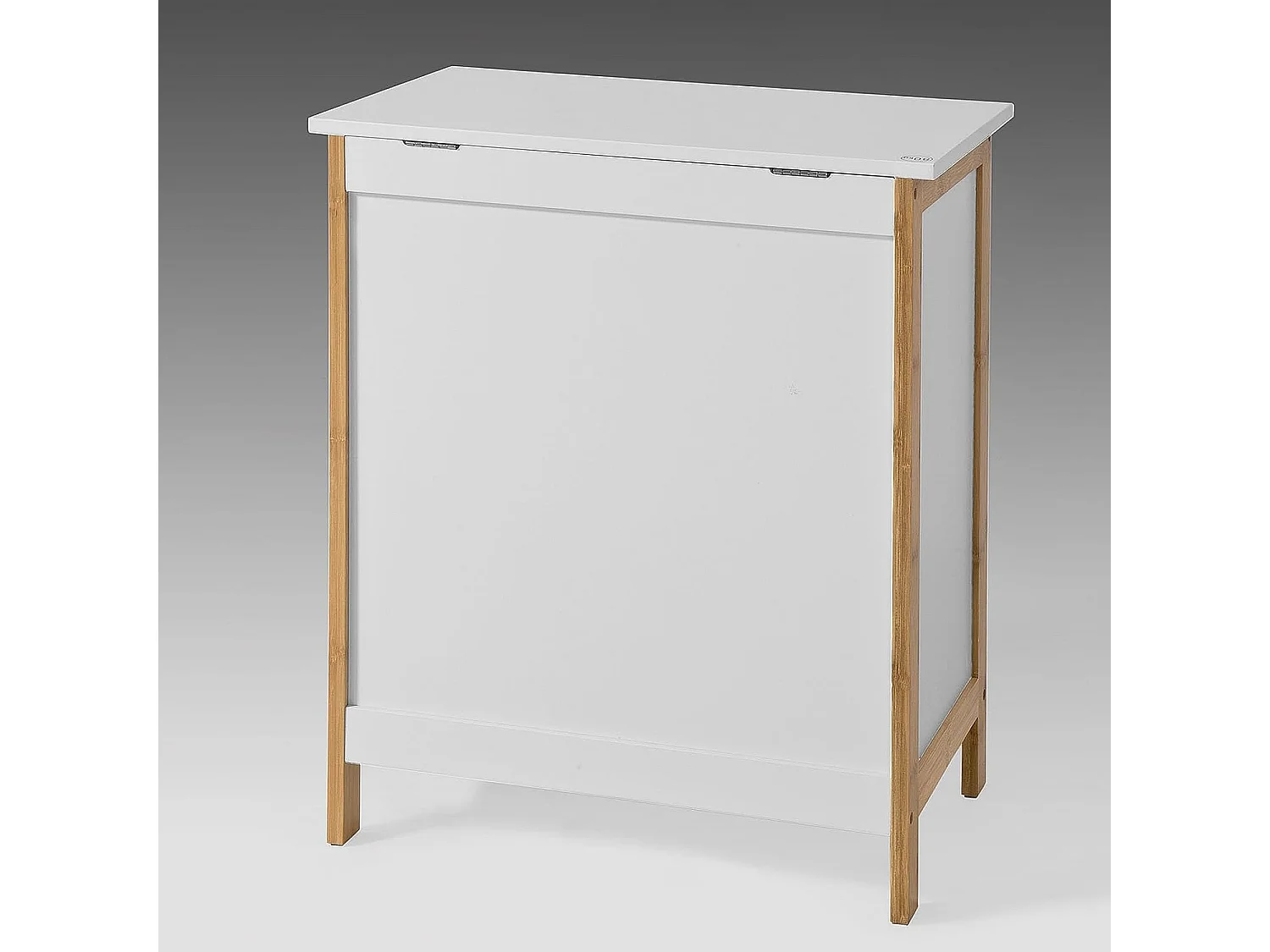 SoBuy FSS66-WN Badkamerkast Opbergkist Wasmand Wasbox Wasverzamelaar Waston met Deksel wit