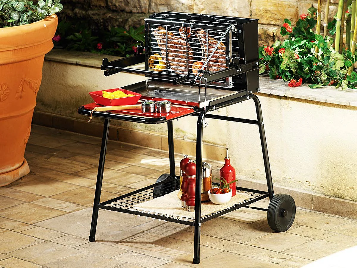 Barbecue vertical Raymond