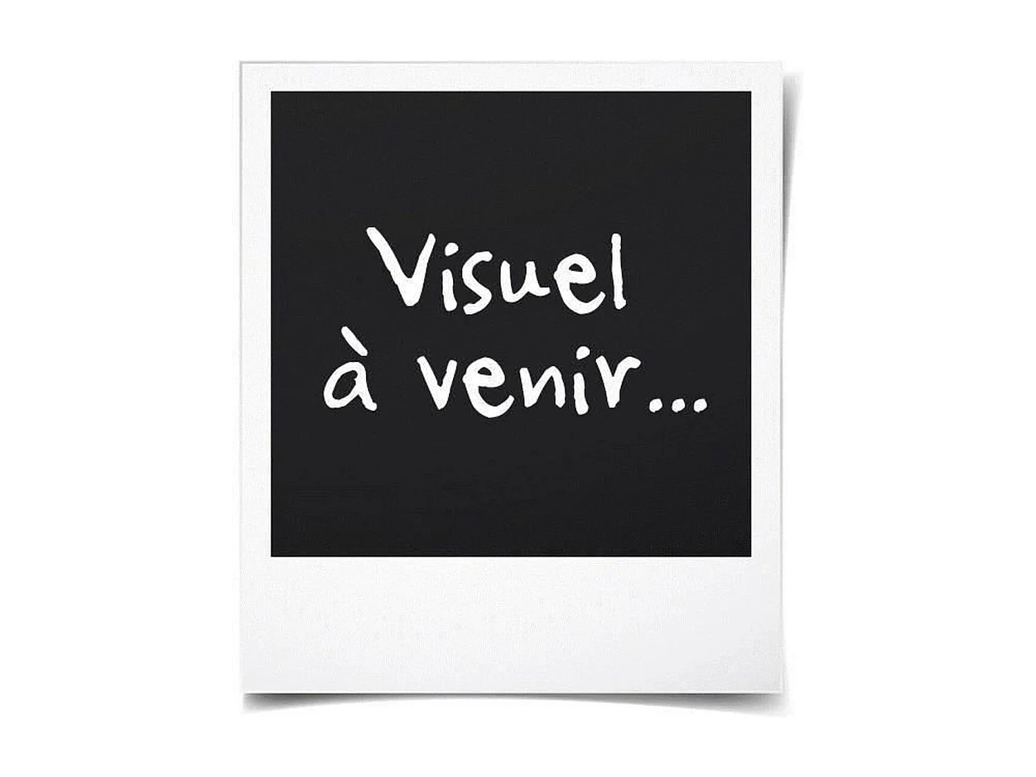 Barbecue à charbon Weber Original Kettle E-4710 47 cm