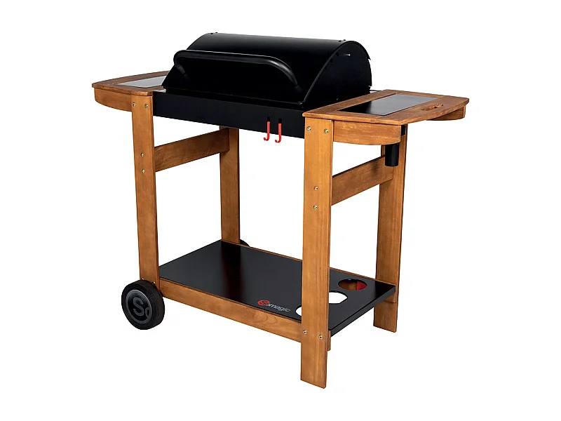 Barbecue a carbone dell'Indiana