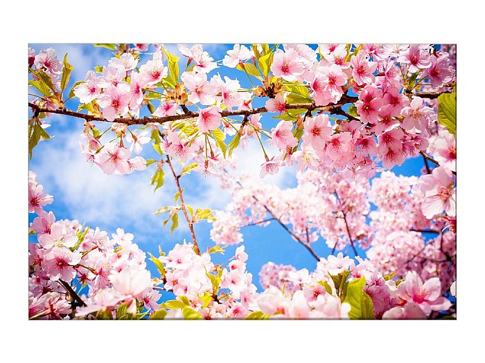 Murando Tableau Acoustique 120x40 Cm 1 Piece Tableau Avec Mousse Acoustique Absorption Du Son