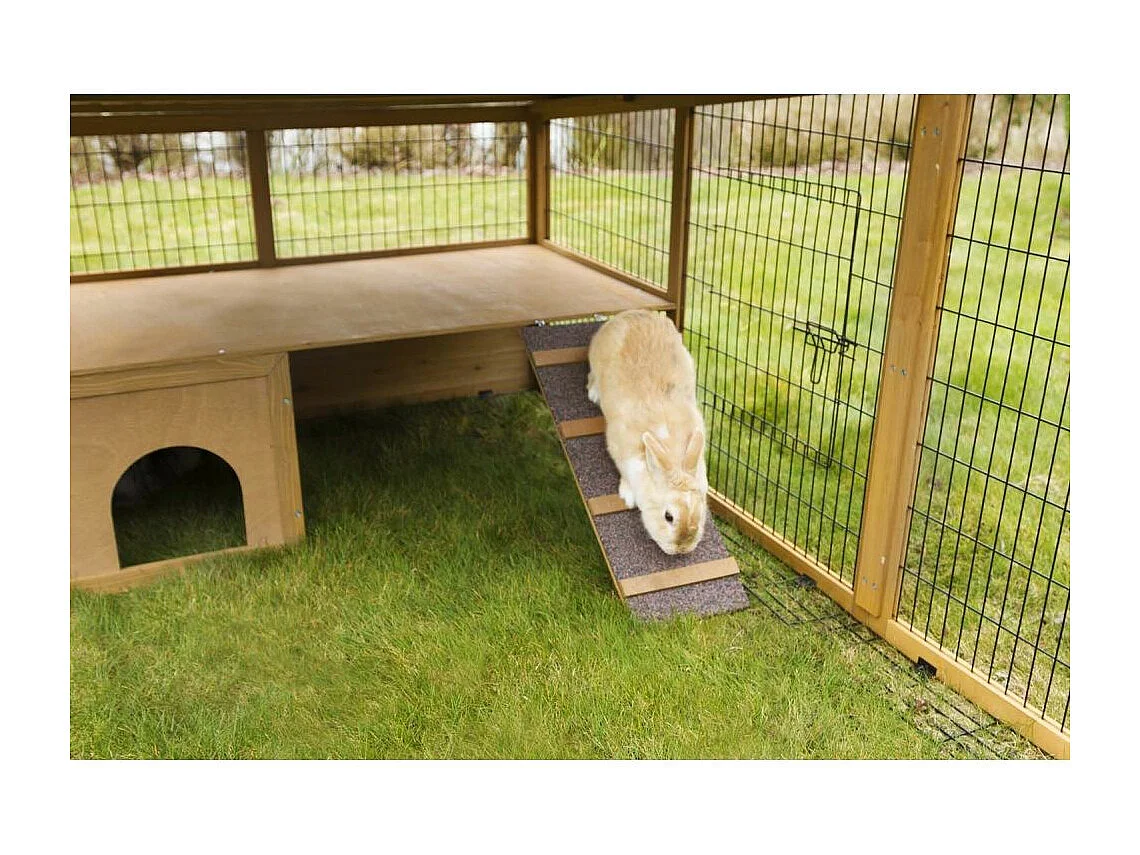 Enclos extérieur pour petits animaux avec dispositif anti-fugue