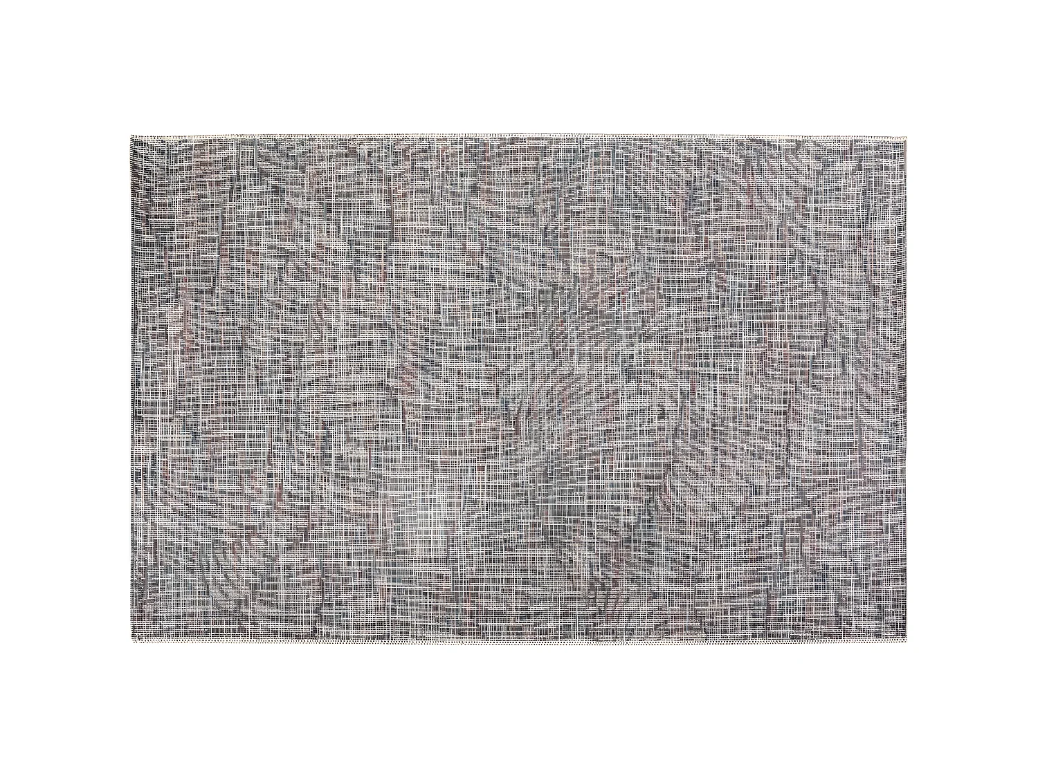 Maeva outdoor tapijt Tijm 120 x 170 cm