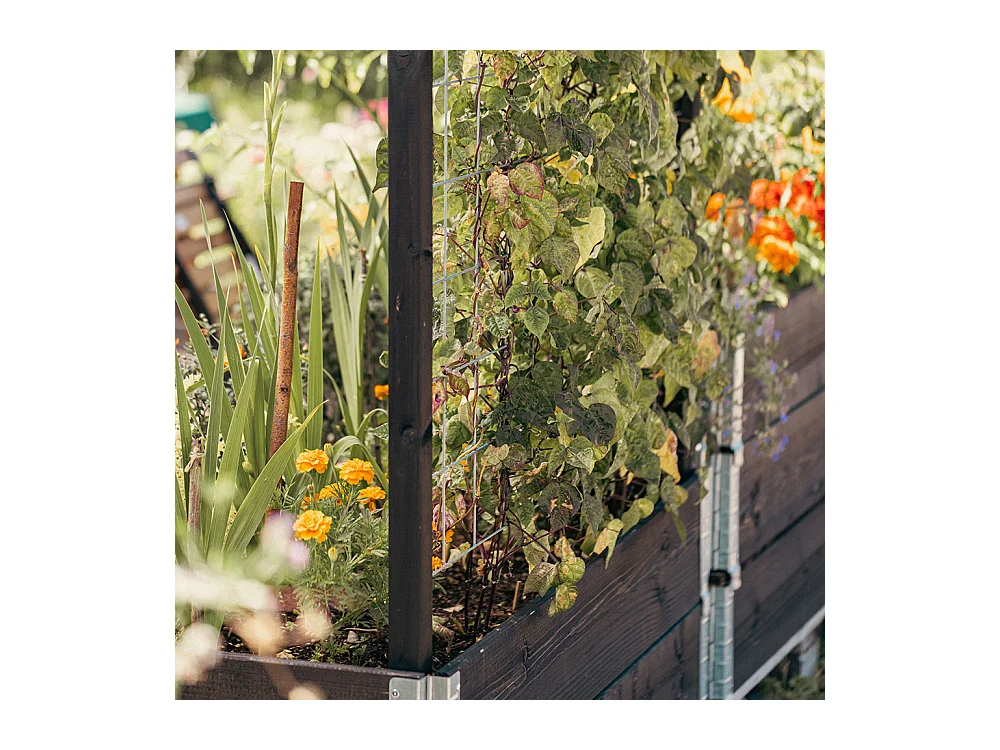 Treillis pour carré potager Gardenbox