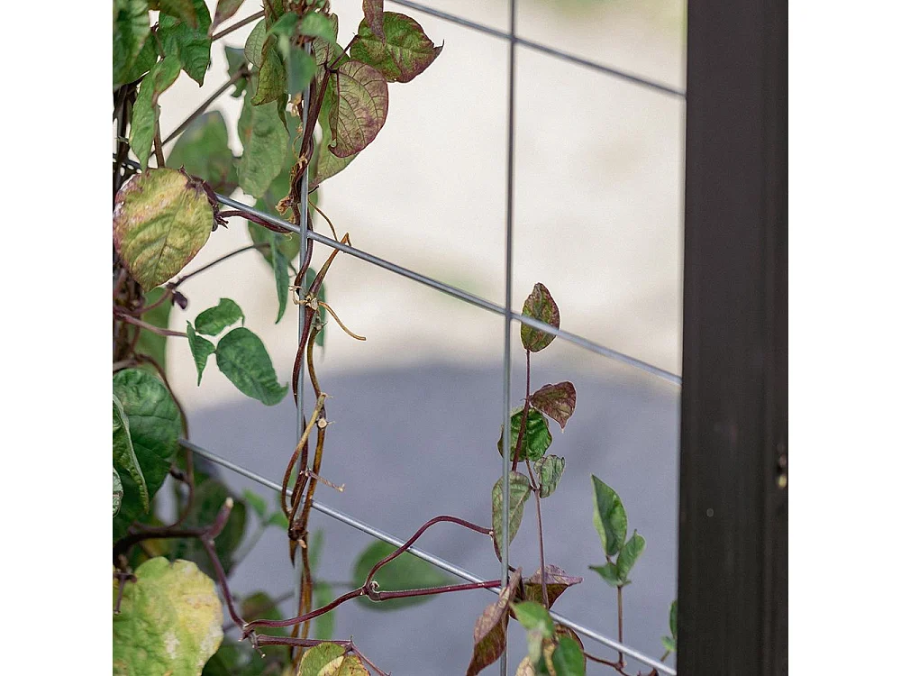 Treillis pour carré potager Gardenbox