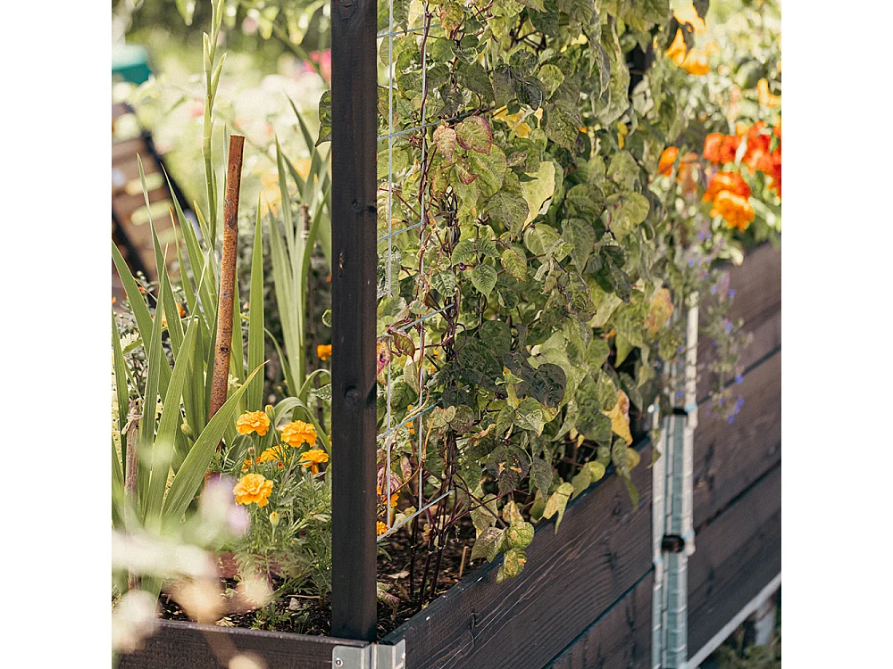 Treillis pour carré potager Gardenbox