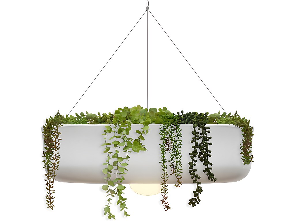 Jardinière Suspendue Rectangulaire, Jardinière Suspendue Avec Trous De